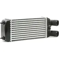 RIDEX 468I0135 Ladeluftkühler LLK passend für PEUGEOT 2008 Kombi (CU) Turbo Intercooler