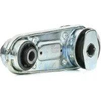 Delphi Motorlager Hinten für RENAULT CLIO II (BB0/1/2, CB0/1/2) TEM069