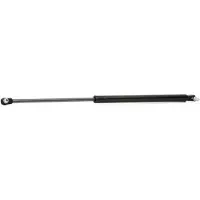 RIDEX 219G0322 Gasfeder Heckklappendämpfer für CHRYSLER PT CRUISER (PT) 585mm