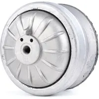 RIDEX Motorlager MERCEDES-BENZ 247E0060 2012402617,A1242401317,A2012401317 Lagerung, Motor,Motoraufhängung,Motorhalter,Hydrolager A2012402317