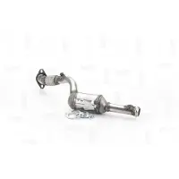 NAP carPARTS Katalysator CAK10566