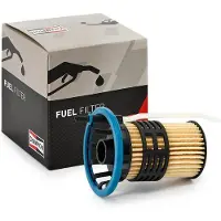 Champion Kraftstofffilter [Hersteller-Nr. CFF100636] für Jeep, Opel, Citroën, Chrysler, Fiat, Maserati, Peugeot, Alfa Romeo, Vauxhall, Lancia