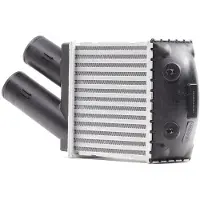 RIDEX 468I0061 Ladeluftkühler LLK für DACIA SANDERO Turbo Intercooler