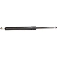 RIDEX Heckklappendämpfer RENAULT 219G0530 7700354323