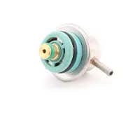 RIDEX 168C0003 Kraftstoffdruckregler Benzindruckregler für VW Golf IV Schrägheck (1J1) Transporter IV Bus (70B, 70C, 7DB, 7DK, 70J, 70K, 7DC, 7DJ)