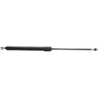 RIDEX Heckklappendämpfer CHEVROLET,DAEWOO 219G0521 96548931,96940954
