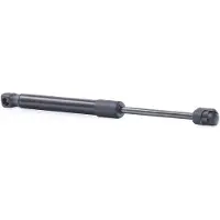 RIDEX 219G1003 Gasfeder Heckklappendämpfer für CHRYSLER 300 C Limousine (LX, LE)