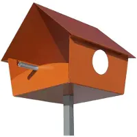 Radius Design - XXL Piep Show, orange