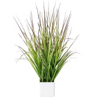 Creativ Green Kunstpflanze Blutgras, im Topf, Höhe 61 cm