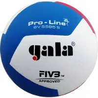 Gala Volleyball Ball Pro-line Bv5595s Handshake