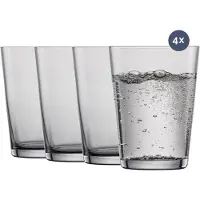 Zwiesel Glas Wasserglas Together Grafiet 548 ml (4-teilig)