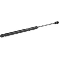 RIDEX Gasfeder Motorhaubendämpfer 452,5mm für HYUNDAI COUPE (GK) 290N 514G0089