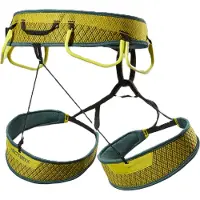 Arc'teryx Skaha