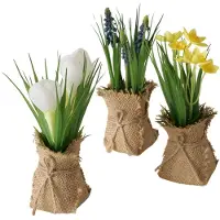 Boltze Topfpflanze Harmony 19cm 3fach sortiert