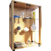 Hioshop Sammel Stand Vitrine Holz Glas Sintalo