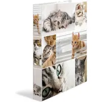 Herma Ringbuch A4 Motiv