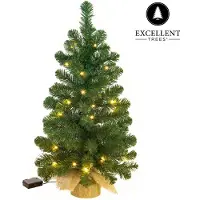 Excellent Trees Weihnachtsbaum Led Jarbo 75 cm mit Beleuchtung - Luxusedition - 55 Lämpchen