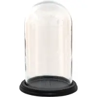 Clayre & Eef Clayre Eef Glasglocke 6GL3474 Transparent 20x28 cm