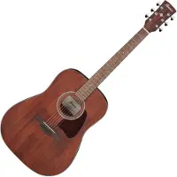 Ibanez AW54 Artwood Open Pore Natural