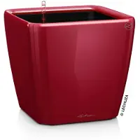 Lechuza 'Quadro LS 21', scarlet-rot, ca. 21 x 21 x H 20 cm