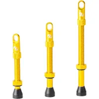 Syncros Tubeless Ventile