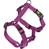 Kerbl Miami Gurtzeug Lila 15 mm x 34-40 cm Lila 15 mm x 34-40 cm