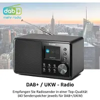 Kärcher DAB 3000 Digitalradio (DAB+ / UKW-RDS, AUX-IN, Wecker mit Dual-Alarm) schwarz