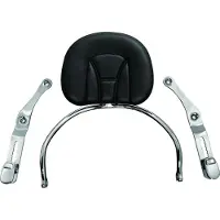 Kuryakyn Revolution Gl1800 Rückenlehne Silber Silber One Size