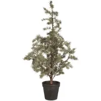 Ib Laursen Weihnachtsbaum ZEDER mit Plastiktopf groß | Ø 60 H120cm