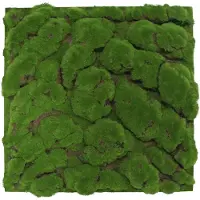Jangal Wandpaneel Modular Wall 11109 forest green big bulk design moos 52 x 52 cm