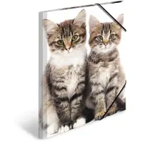 Herma 3 Zeichenmappen DIN A3 Katzen