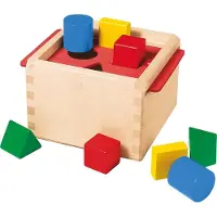 Selecta 62005, Mehrfarbig