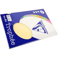 Clairefontaine Kopierpapier Pollen A4 160g/qm 50 Blatt chamois