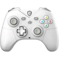 MSI Force Gc300 Kabelloser Gamepad Für Pc