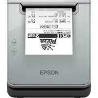 Epson TM-L100, Thermische Leitung, 203 x 203 DPI, 170 mm/sek, Kabelgebunden, Schwarz, Grau