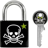 Masterlock Skull