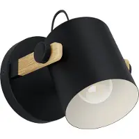 Eglo Leuchte Hornwood