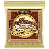 Ernie Ball Akustik Earthwood Bronze