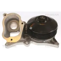 TRISCAN Wasserpumpe 8600 11060