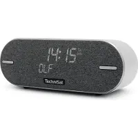 Technisat DIGITRADIO BT 2 | Bluetooth-Lautsprecher mit DAB+, Akku | lichtgrau