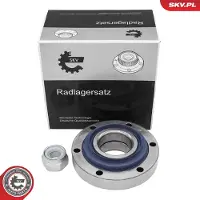ESEN SKV Radlagersatz für RENAULT ESPACE II (J/S63) 29SKV703