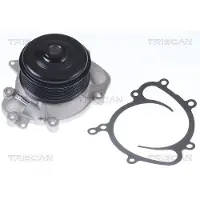 TRISCAN Wasserpumpe 8600 23080