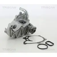 TRISCAN Wasserpumpe 8600 80019
