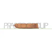 PRASCO Blinkleuchte TY2814303