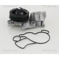 TRISCAN Wasserpumpe 8600 11040
