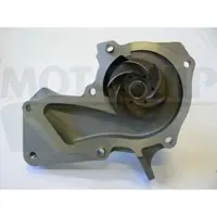 MOTAQUIP Wasserpumpe VWP872