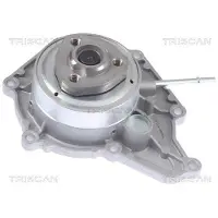 TRISCAN Wasserpumpe 8600 29089