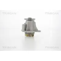 TRISCAN Wasserpumpe 8600 17014