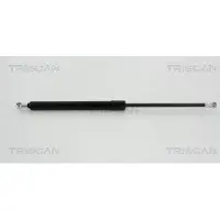 TRISCAN Gasfeder, Koffer-/Laderaum 8710 41215