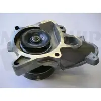 MOTAQUIP Wasserpumpe VWP877